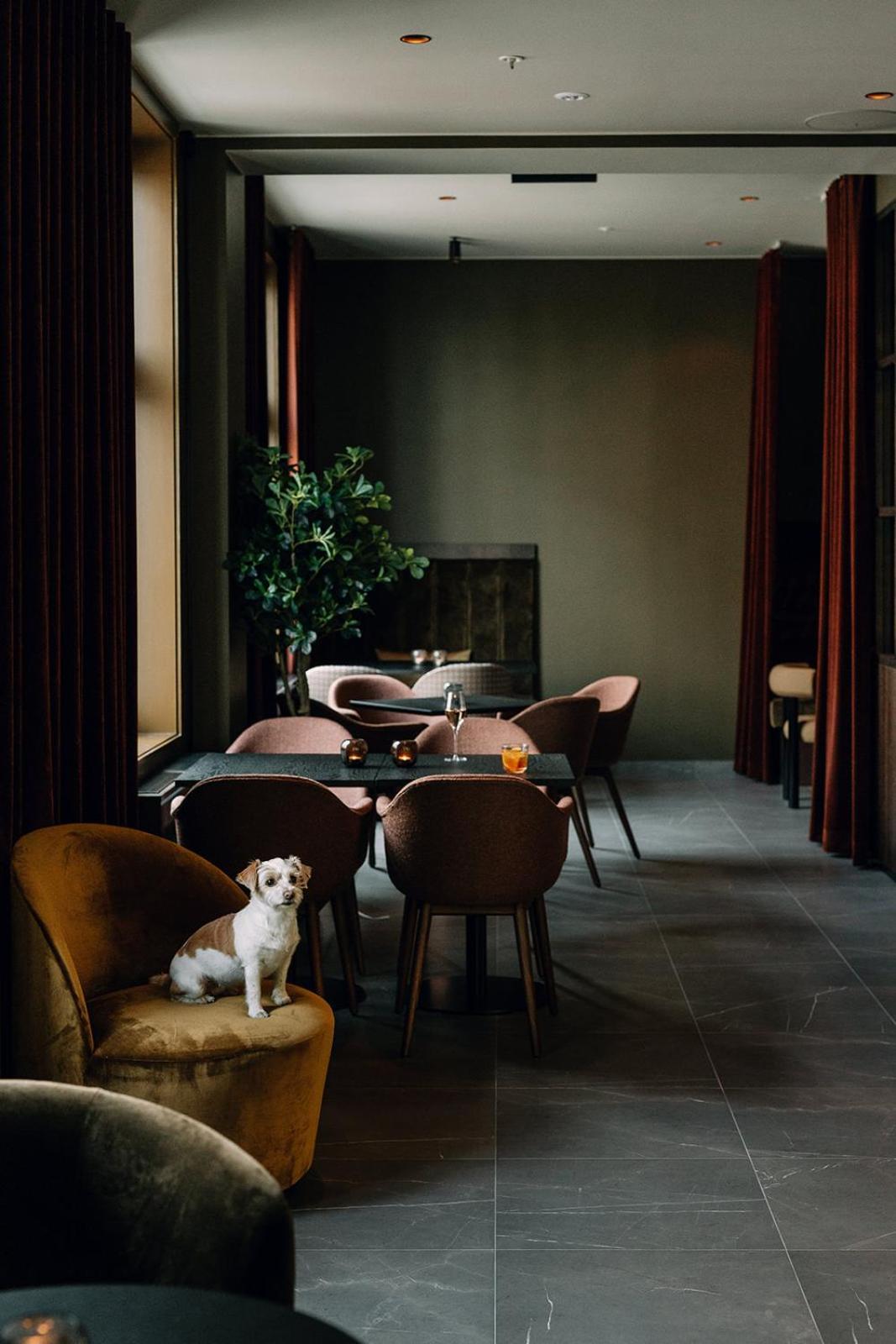 Saga Hotel Oslo, Worldhotels Crafted Dış mekan fotoğraf
